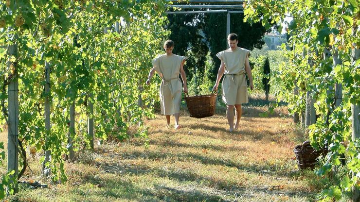 Deux "romains" dans les vignes